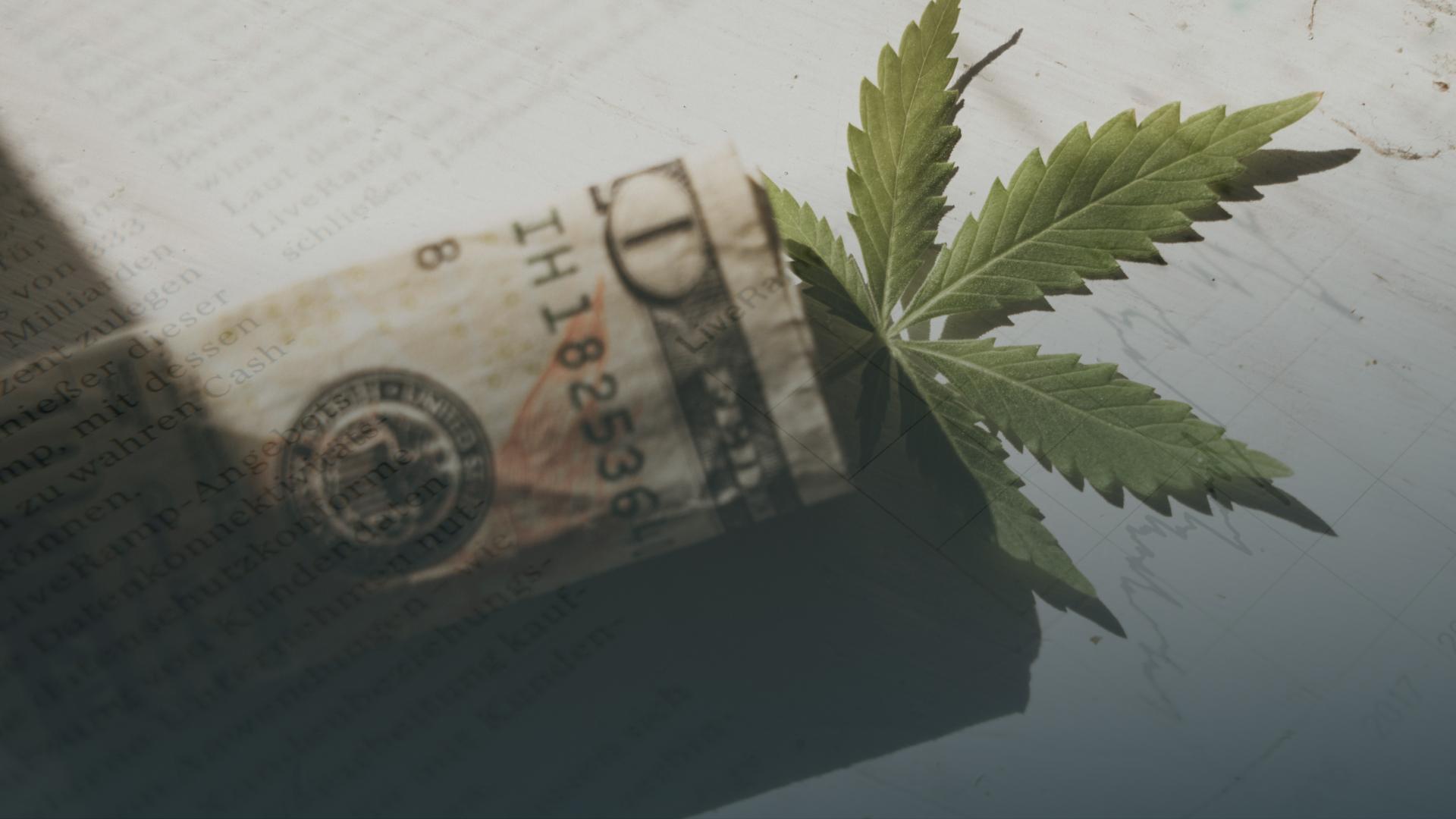 dollar bill with a cannabis leave beneath it