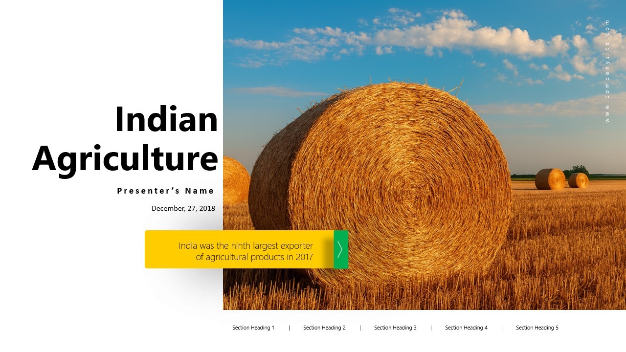 Indian Agriculture: An Overview and Its Global Influence