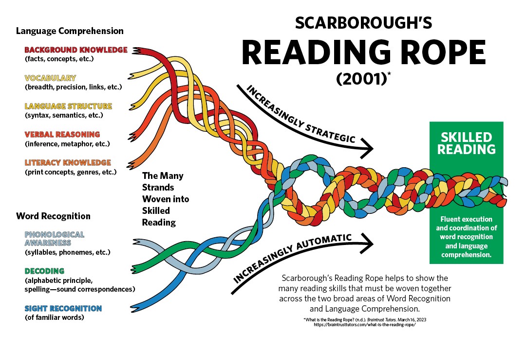 Scarborough’s Reading Rope diagram illustrating the relationship between phonemic awareness, phonics decoding, word recognition, and language comprehension strands that together support fluent reading, reading accuracy, and comprehension.
