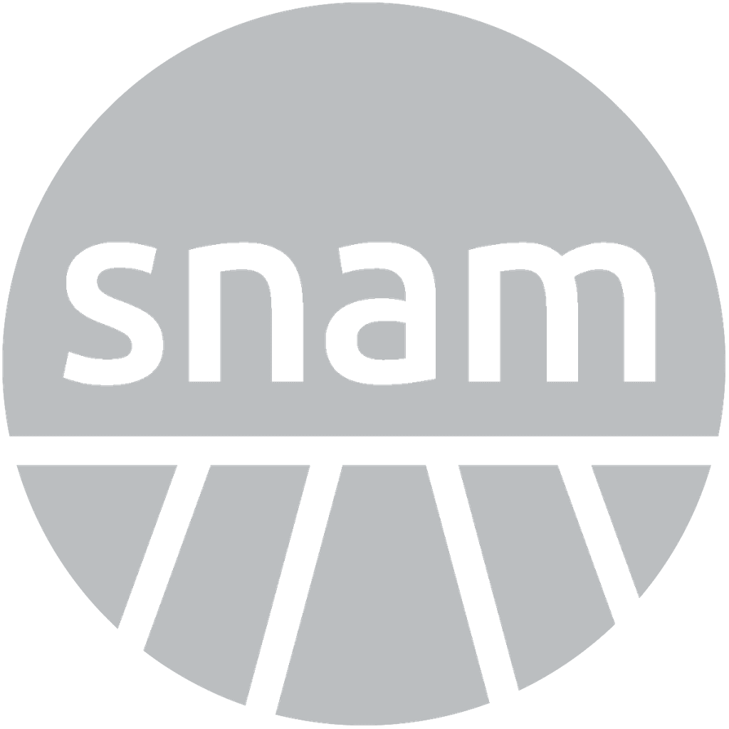 SNAM logo