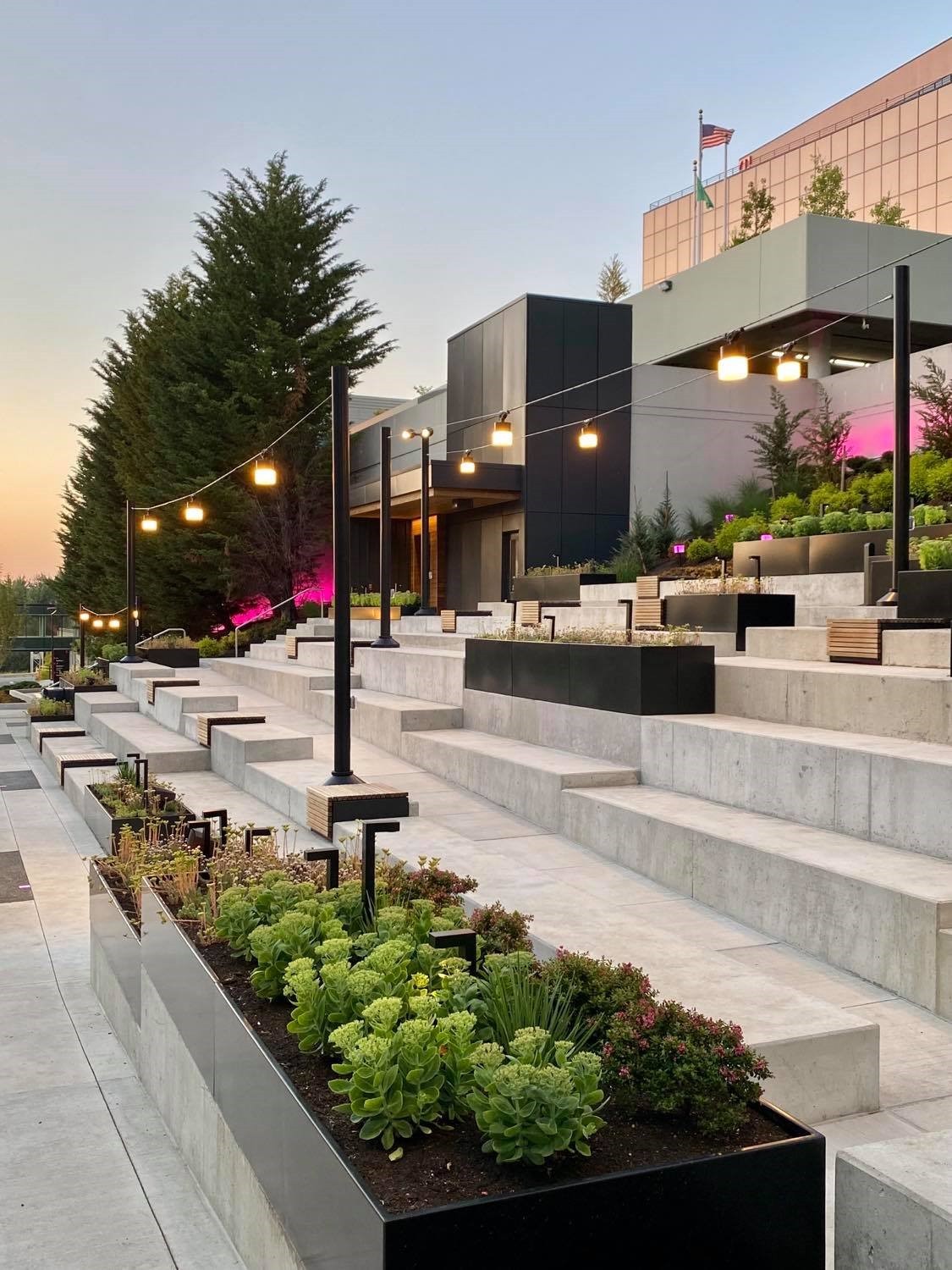 A lush metal planter seamlessly integrated into the tiers of the accessible amphitheater, softly illuminated by string lights overhead.