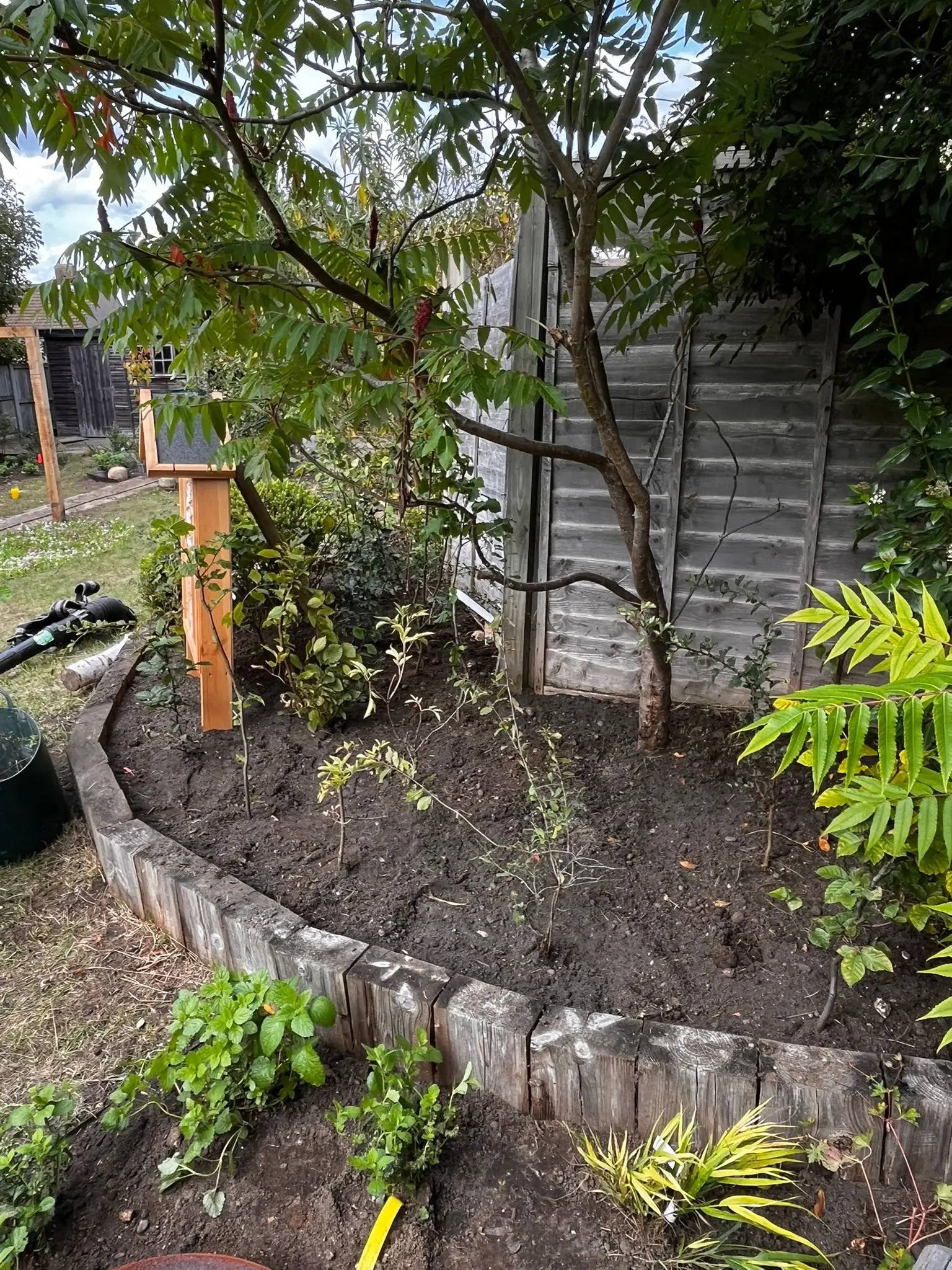 A lush garden scene featuring a tree, bordered by stones, with various plants in the foreground.