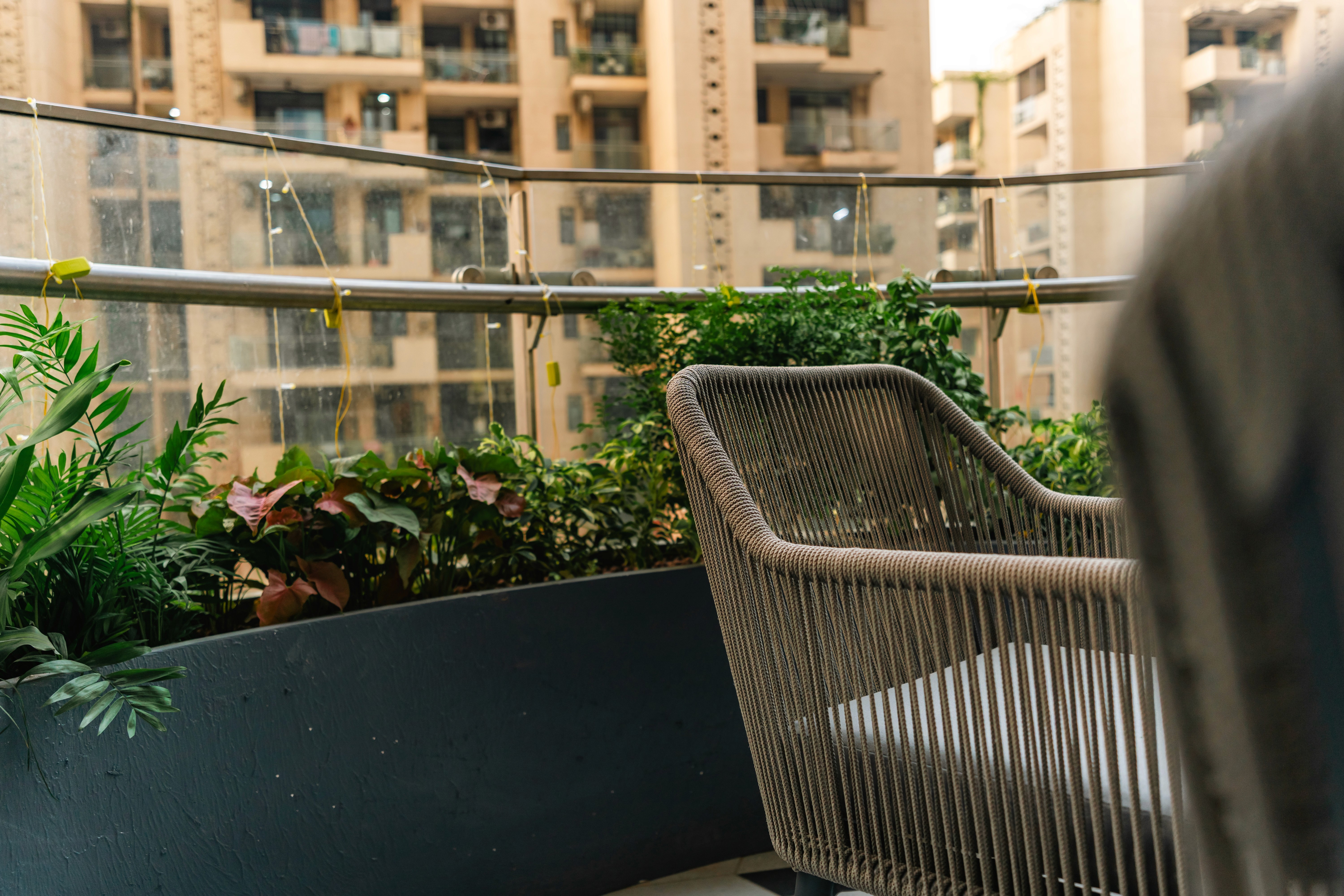 a woman holding a red flower
