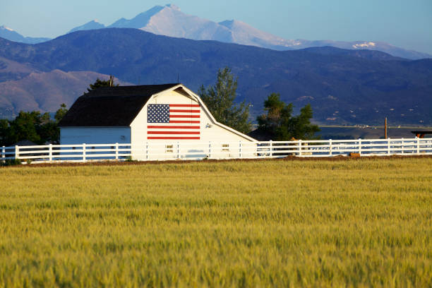 Boulder County Barn Near Lafayette, CO Office