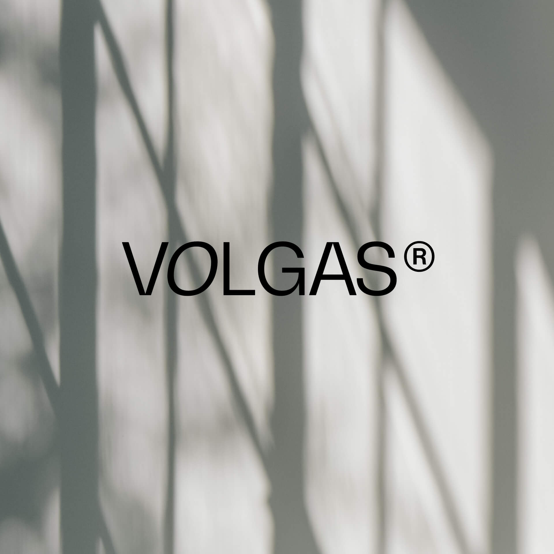 VOLGAS logo on a white background