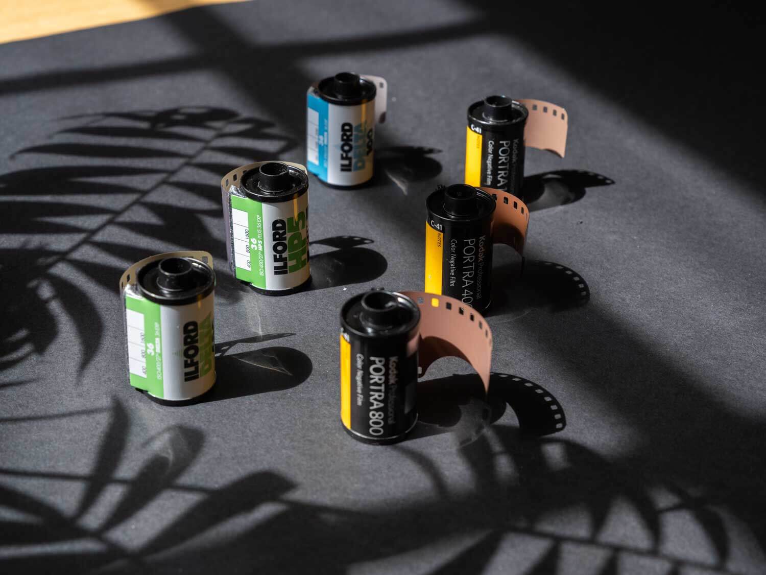 All types of film laid out as a to go film kit for travel photography
