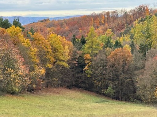 Sandy golf course