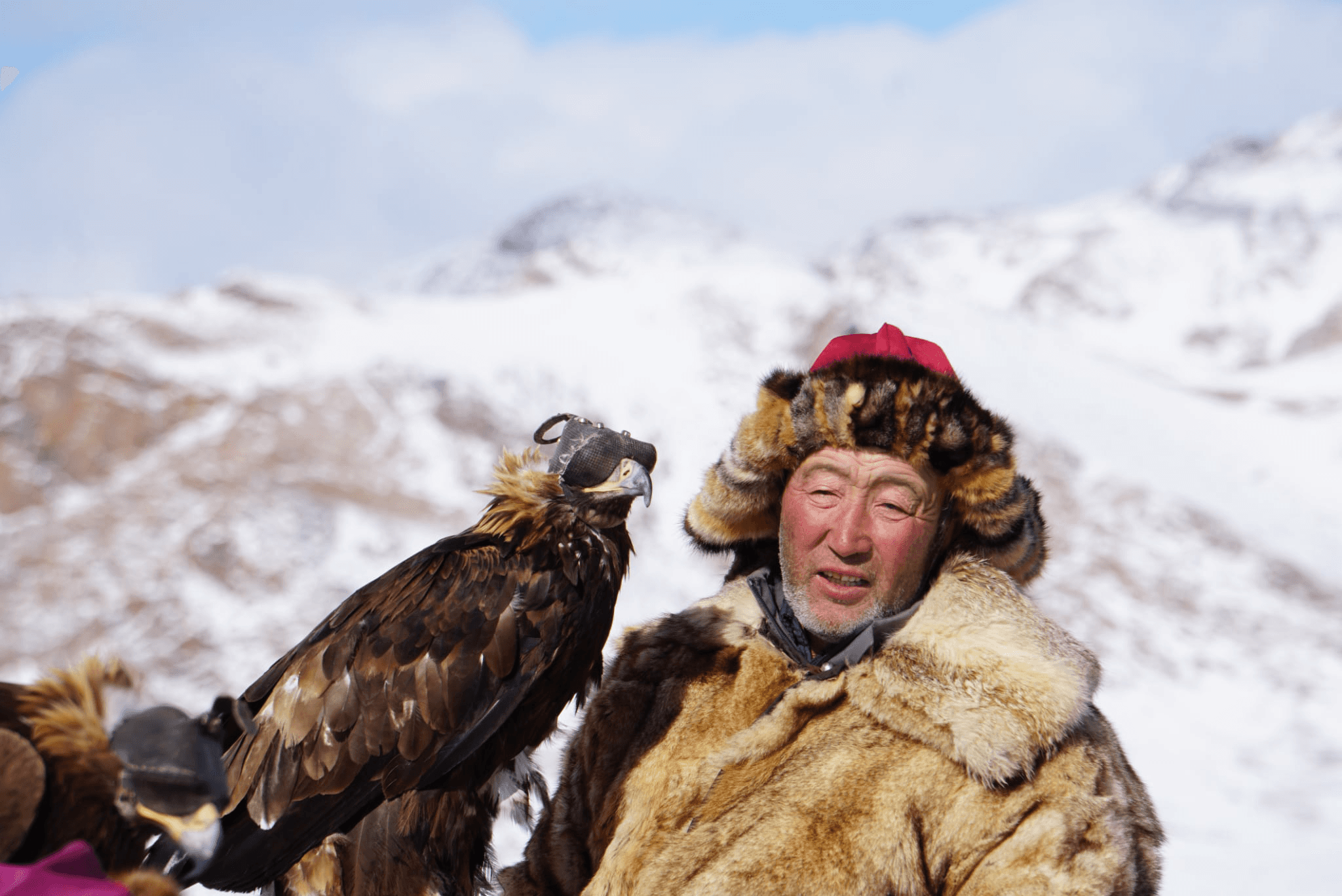A close-up of dark, black roses with soft petals, creating an elegant and moody floral arrangement.