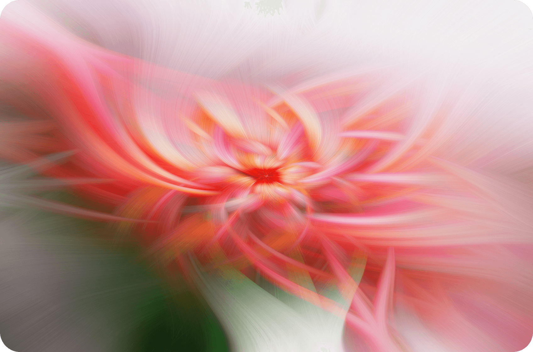 Abstract pink and orange floral light swirl on a soft gradient background.