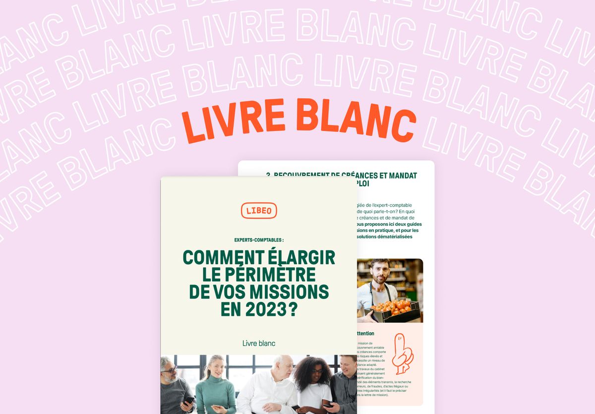 white-paper_FR_missions_accountants_2023_preview
