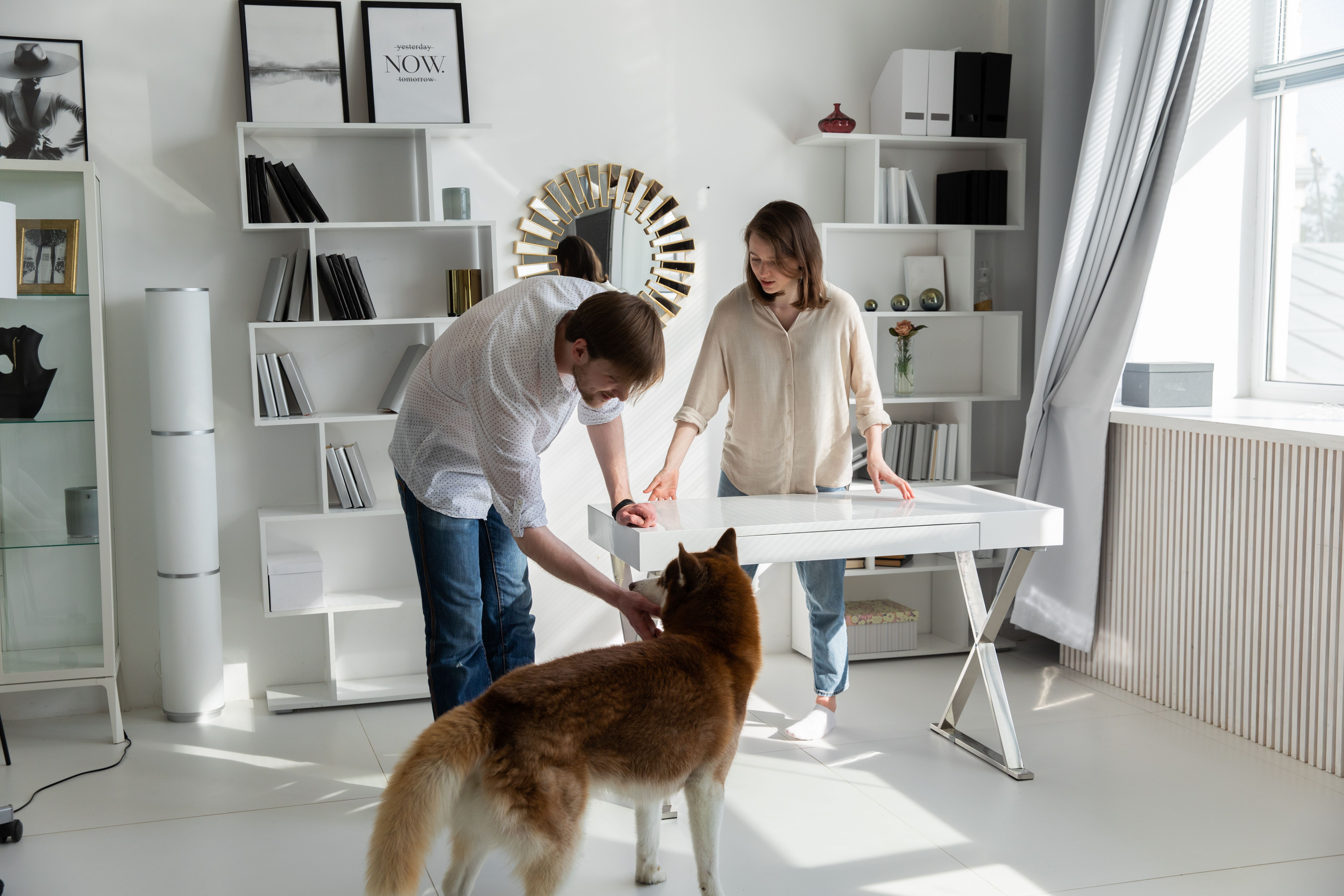 Eco-Friendly Pet Products: Sustainable Business Practices