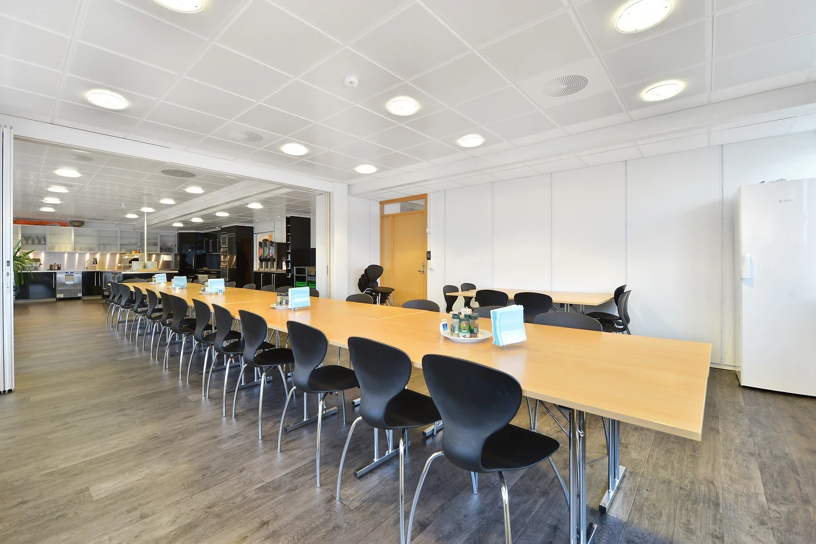 Sustainable Spaces: Eco-Friendly Design Solutions