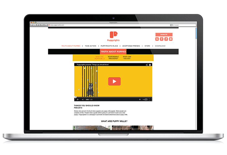 A laptop screen displays the Puppyrights website. The website features a black header with the Puppyrights logo and navigation links including "TRUTH ABOUT PUPPIES," "TAKE ACTION," "PUPPYRIGHTS PLACE," "ADOPTABLE FRIENDS," "STORE," and "DOWNLOAD." A yellow banner promotes "TRUTH ABOUT PUPPIES" with a video showcasing a puppy. The bottom of the screen displays "WHAT ARE PUPPY MILLS?" and a tagline: "Puppyrights presents things you should know." A search bar and browser tabs are visible at the top.