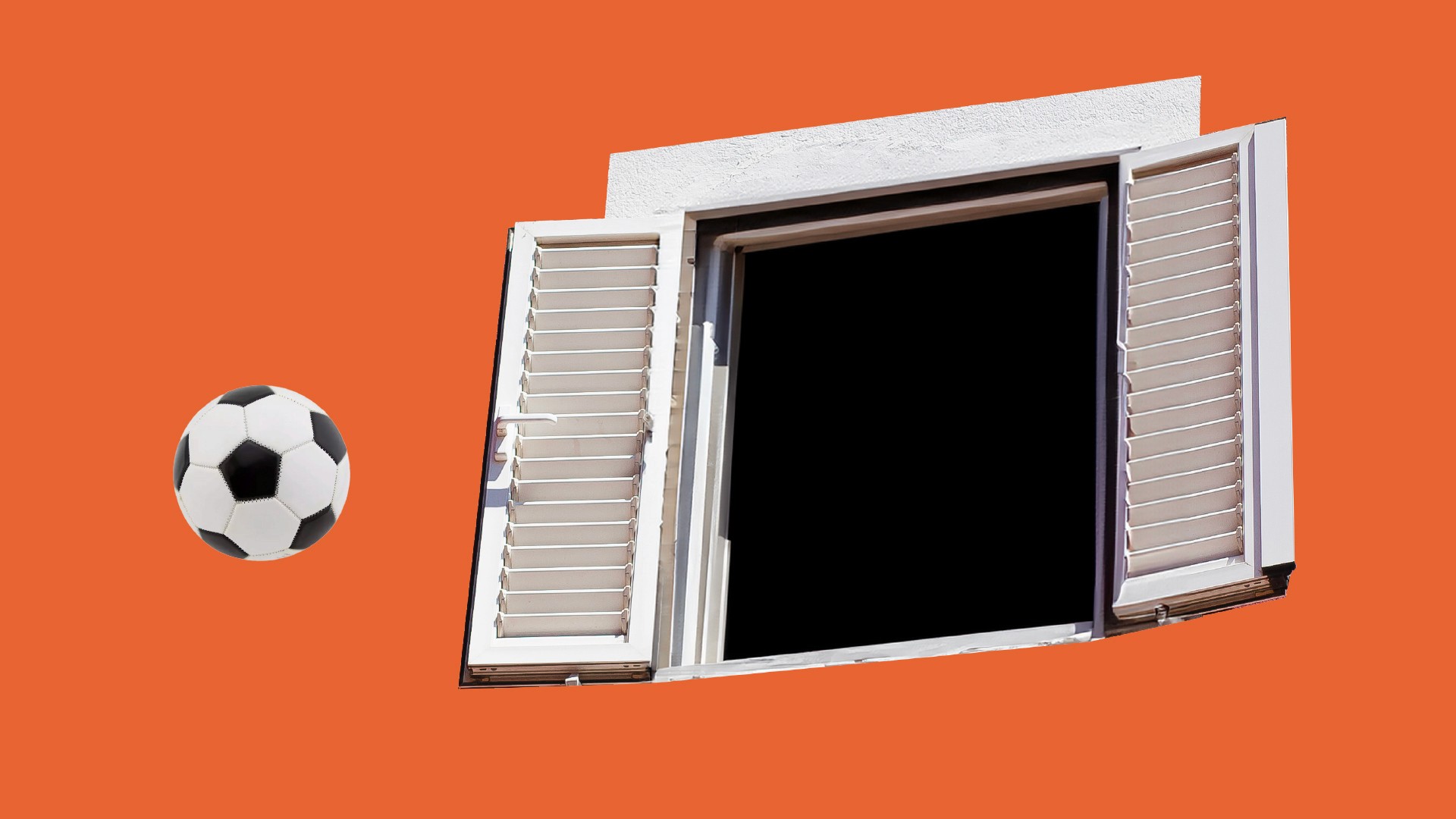 Window screen Carambole