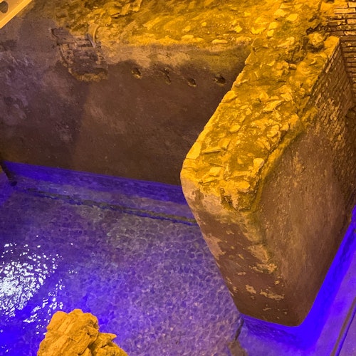 特雷维喷泉罗马: 罗马地下 Domus 导览游 门票