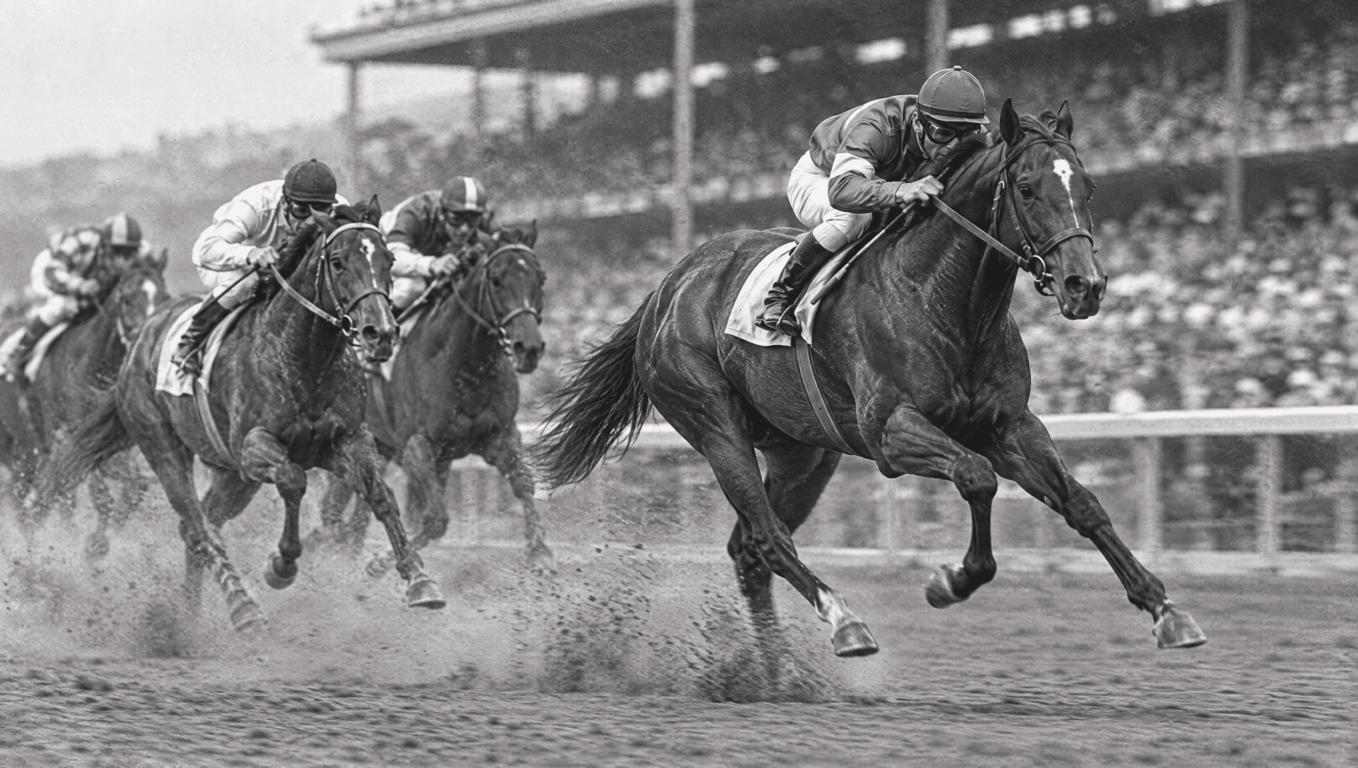 A dark racehorse with a white star leads the field down the home straight of a dirt track