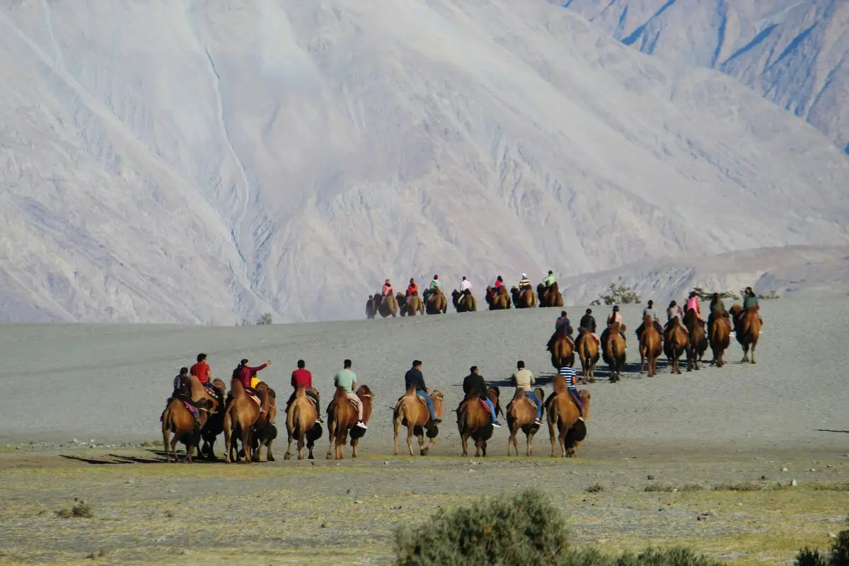 12‑Day Odyssey Through Ladakh & the Indian Himalaya