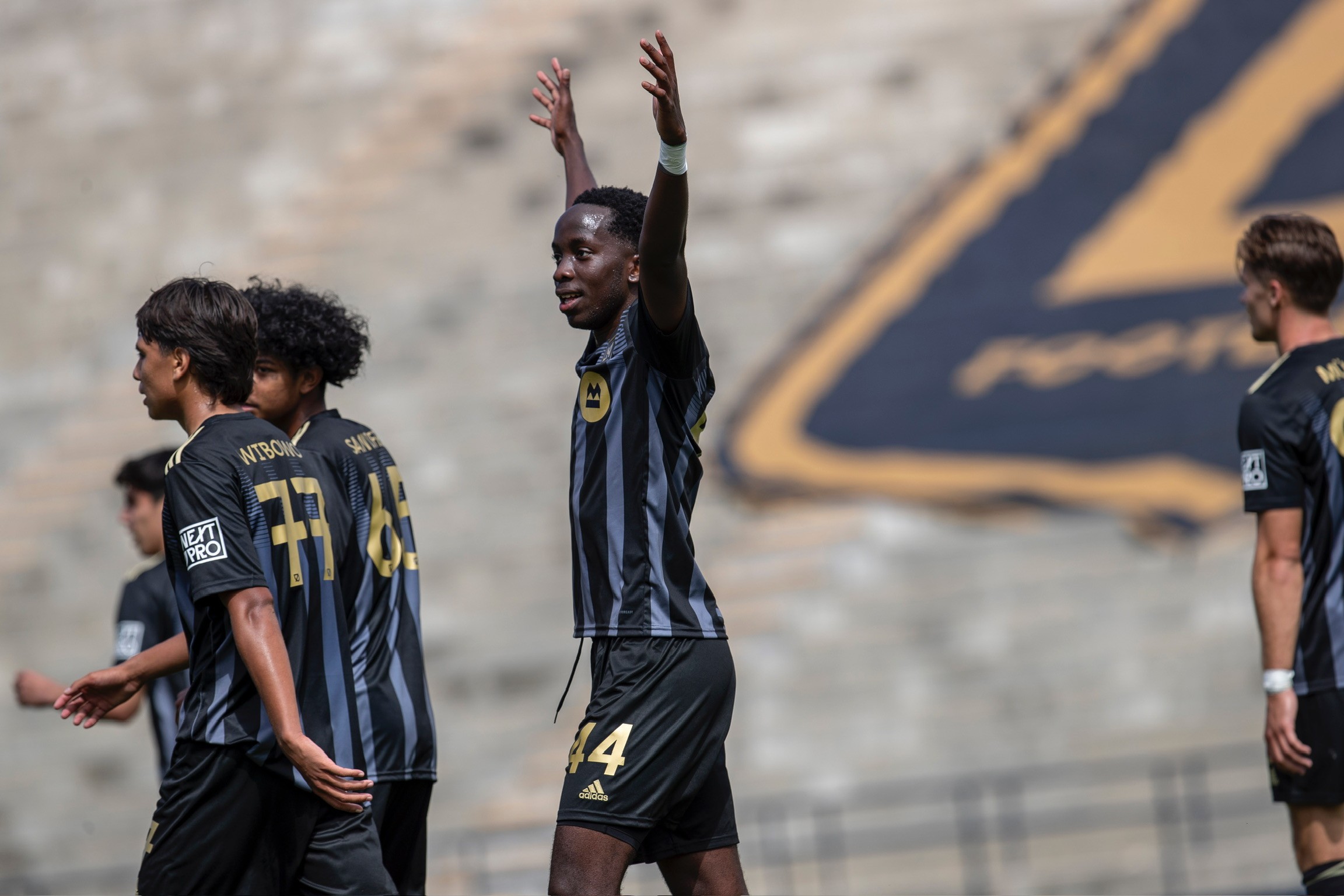 Raising Arms Celebrating At LAFC Home Game