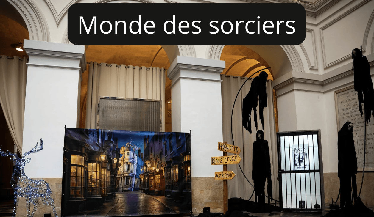 decor-soiree-theme-monde-des-sorciers