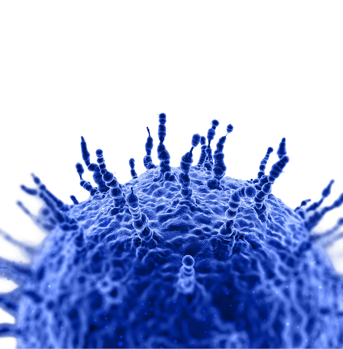 Close-up of a blue, spiky virus particle