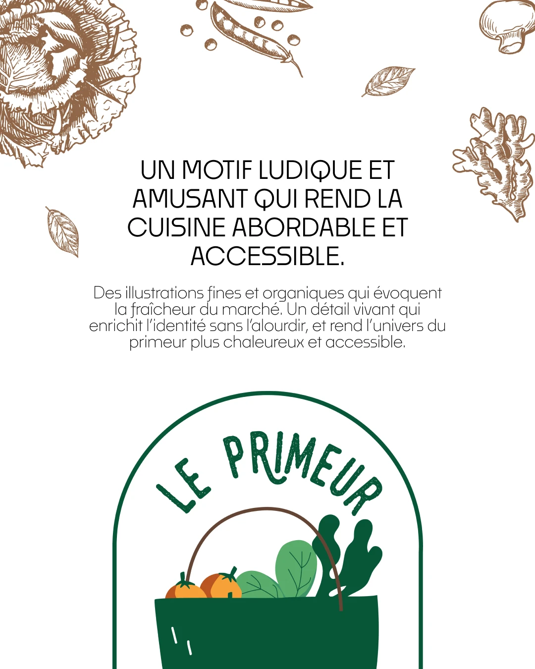 Visuel éditorial présentant le motif d'illustrations organiques et le logo Le Primeur des Terroirs — univers graphique chaleureux et accessible pour marché de fruits et légumes bio, Tartelette Concept