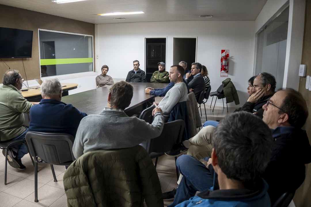 green and black toy car