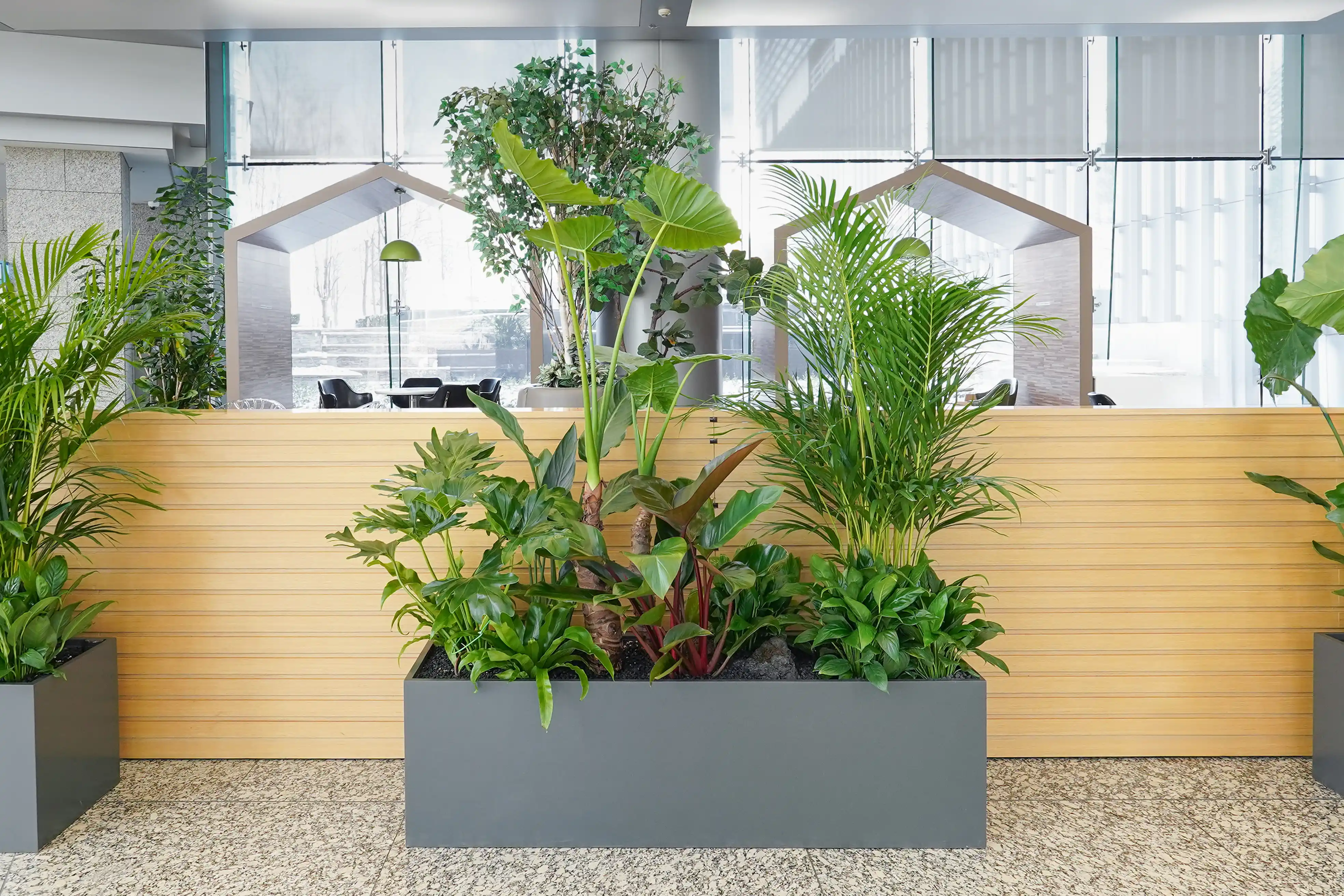 은행 본사 사옥에 설치된 실내정원