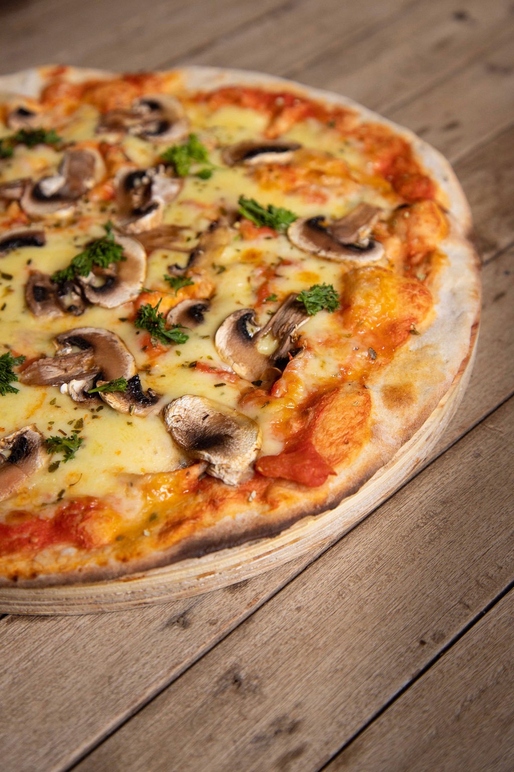 Thin crust mushroom pizza