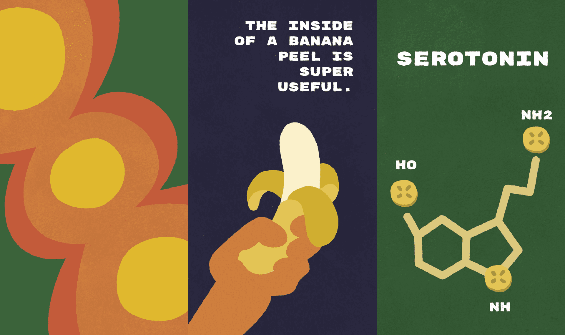 banana funfact thumbnail