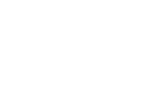 Perform Template Logo