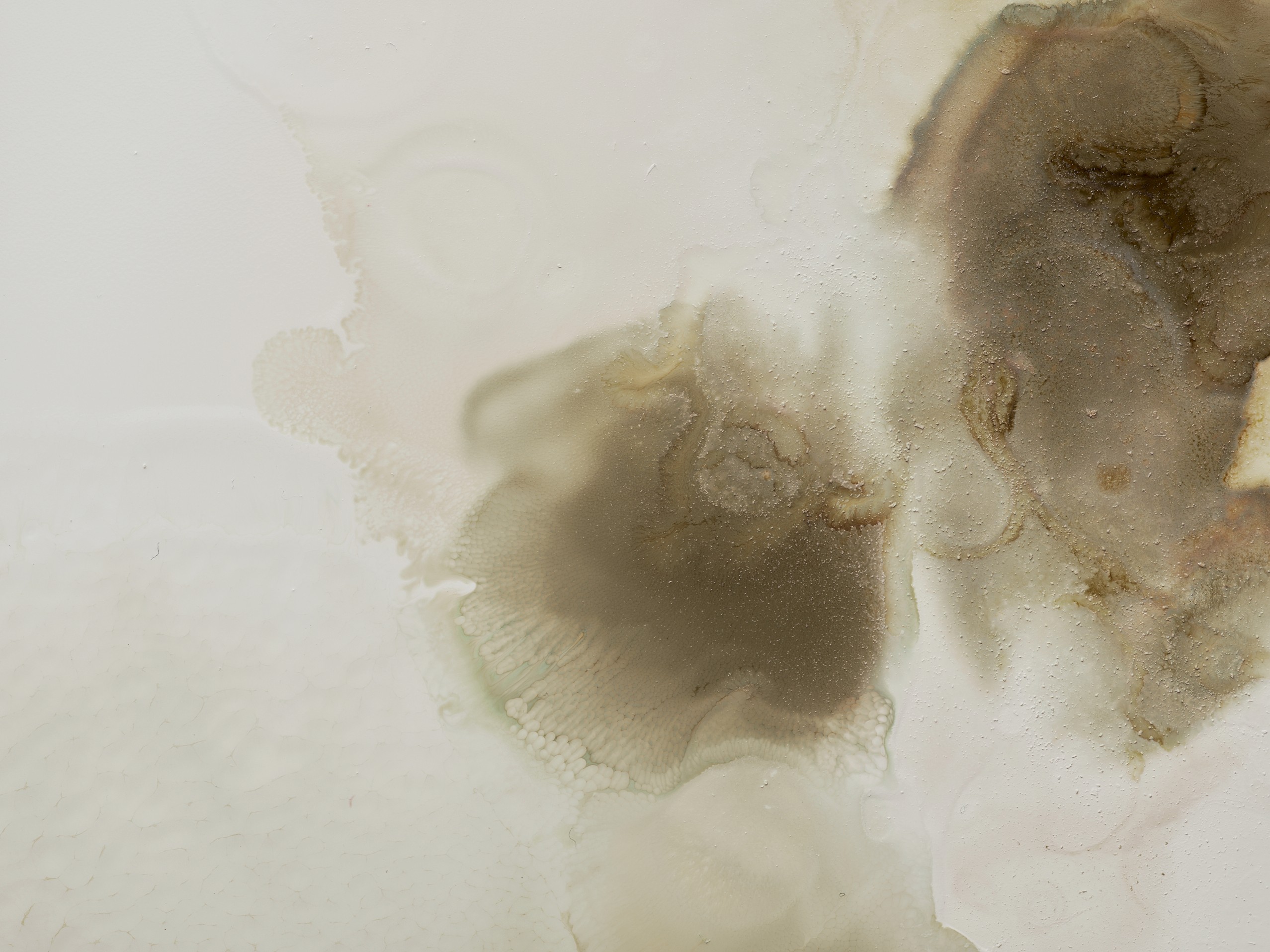 Fragments of&nbsp;Now Image #2