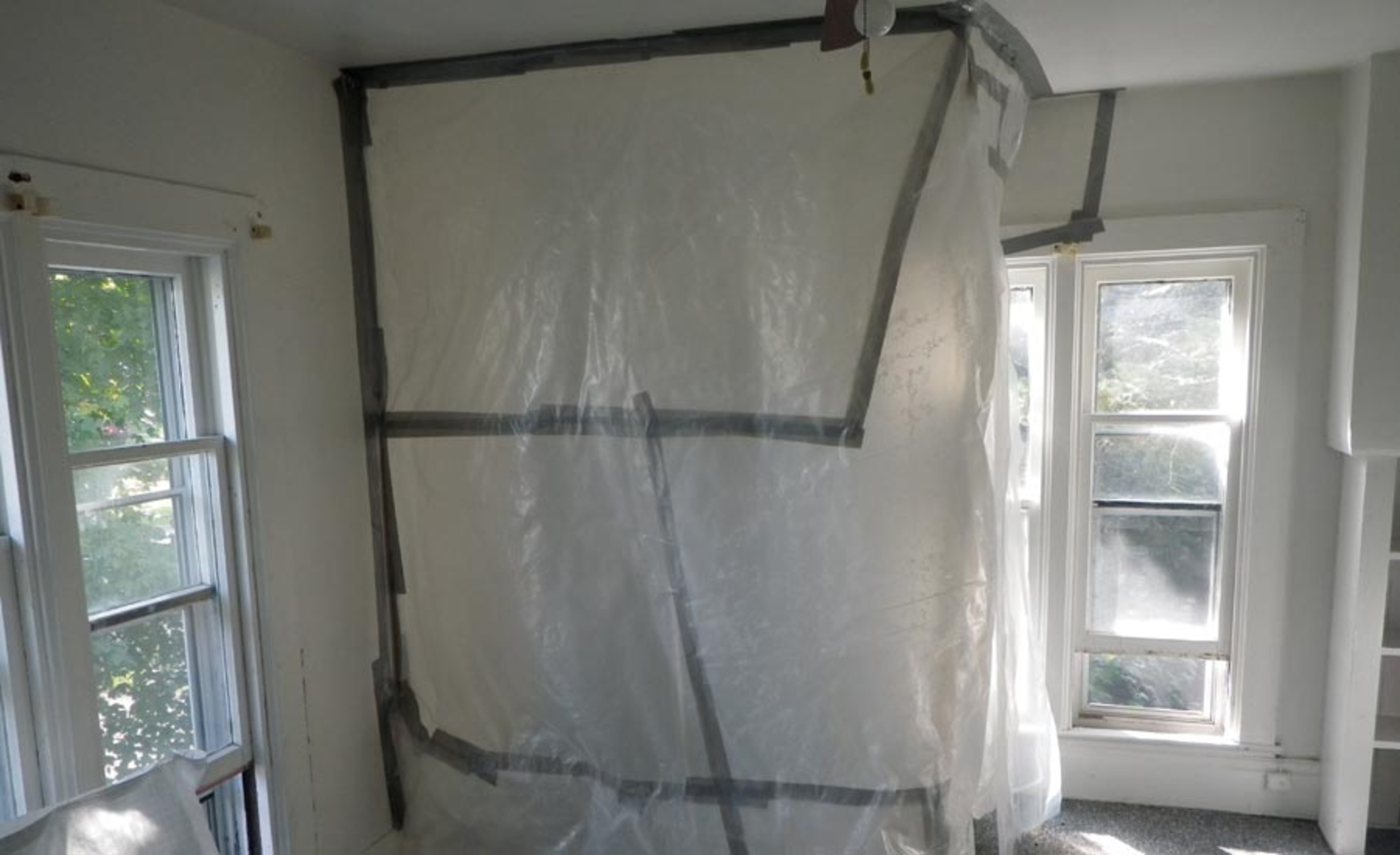 Mold Remediation