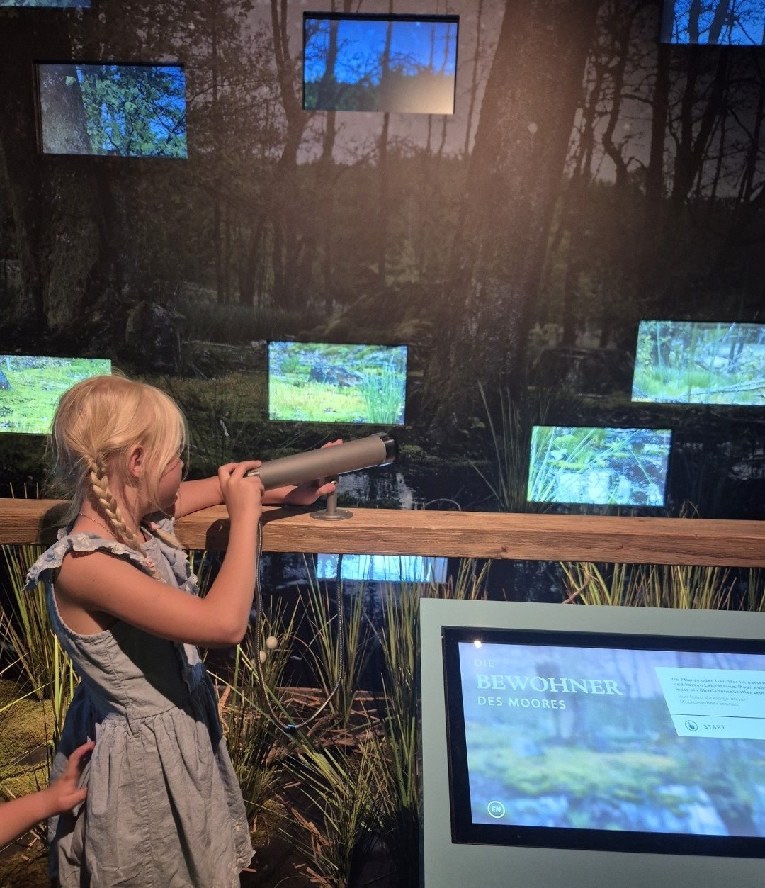 Kind in der Nationalpark Ausstellung.