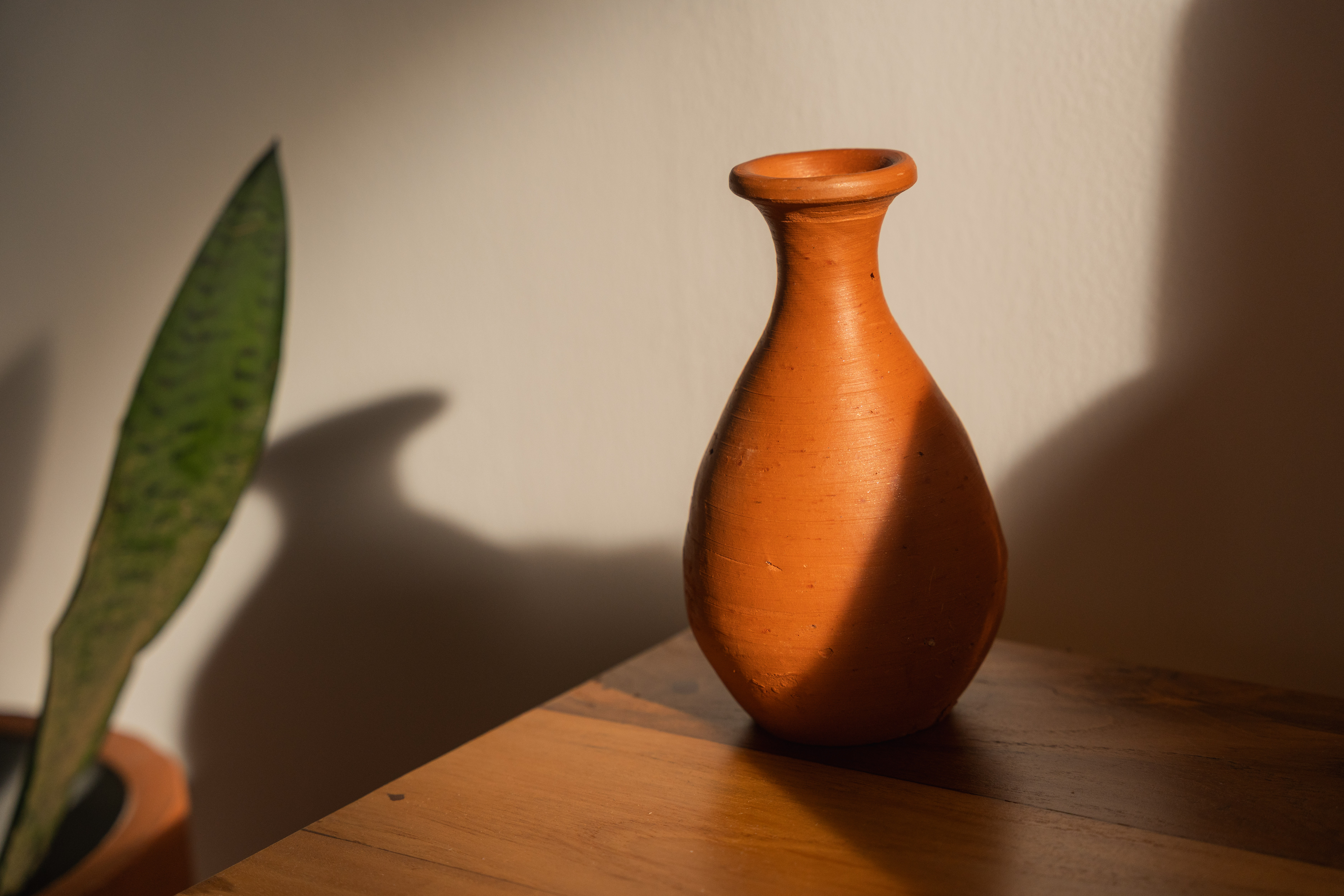 Yoga shala with glass windows surrounded by nature