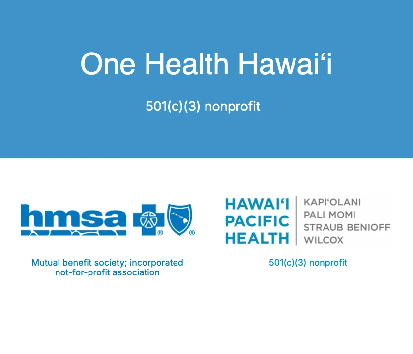 Chart that shows One Health Hawai'i and HMSA and HPH beneth it