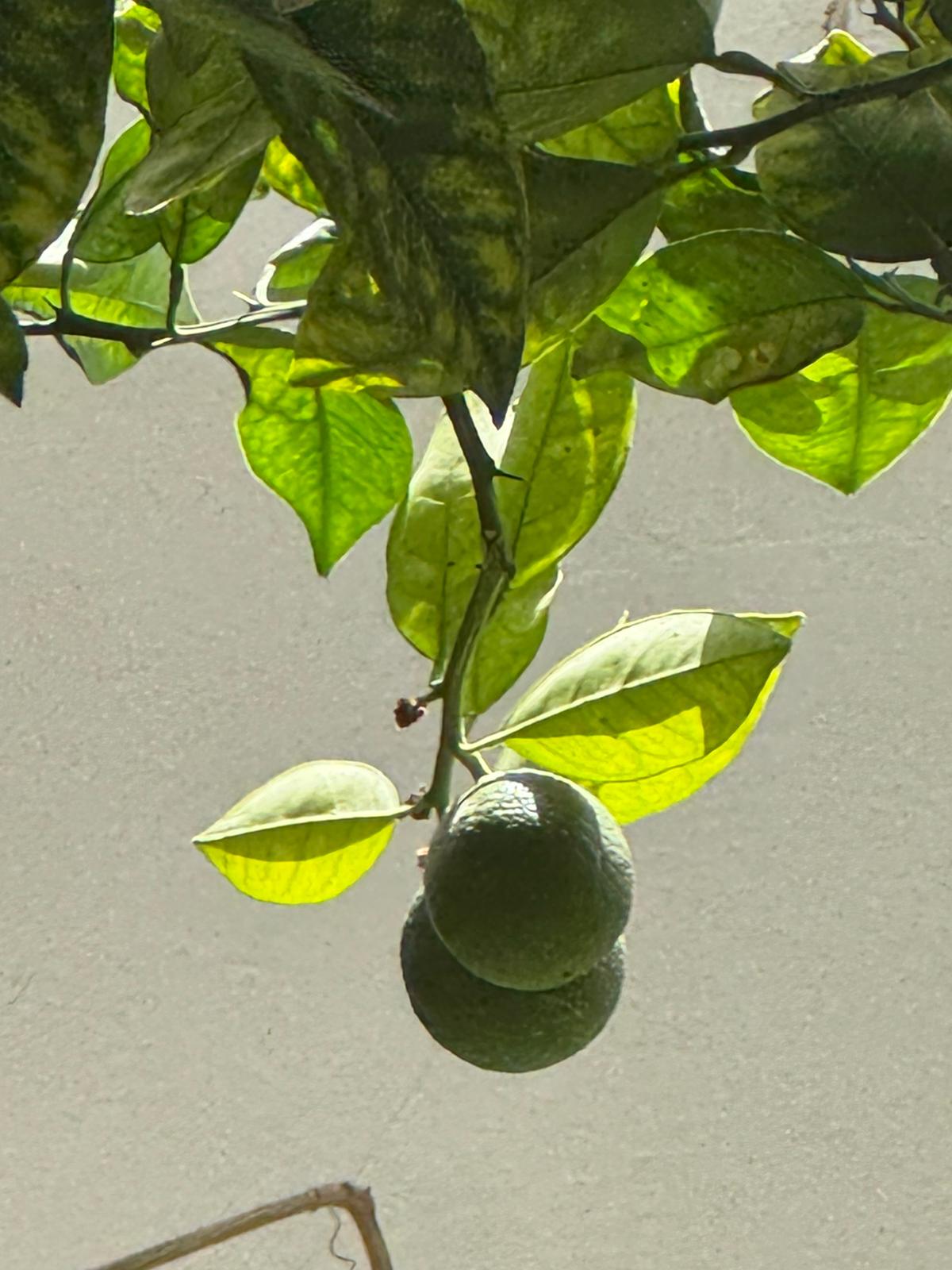 person surfing on sea waves during daytime