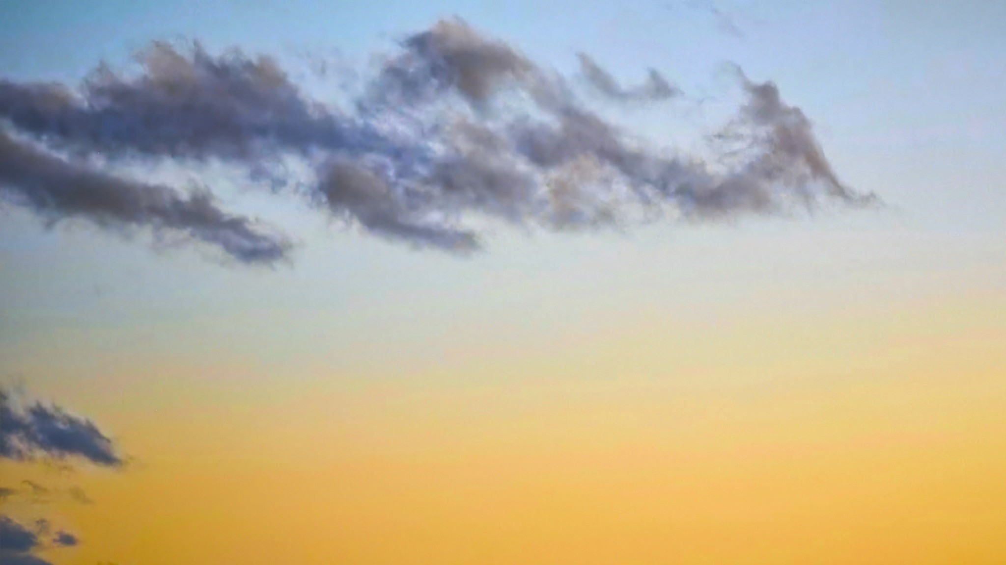 In memory to Salvador Dalí