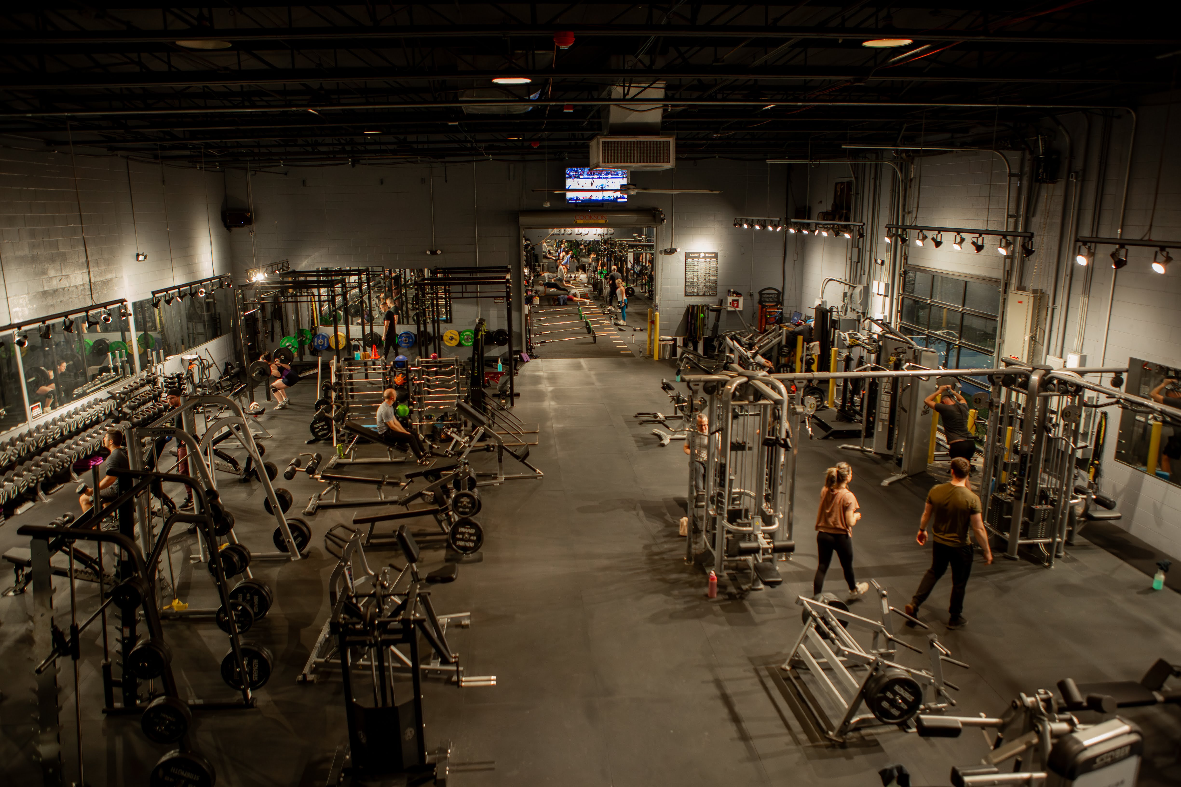 Royal Oak Fernale Gyms