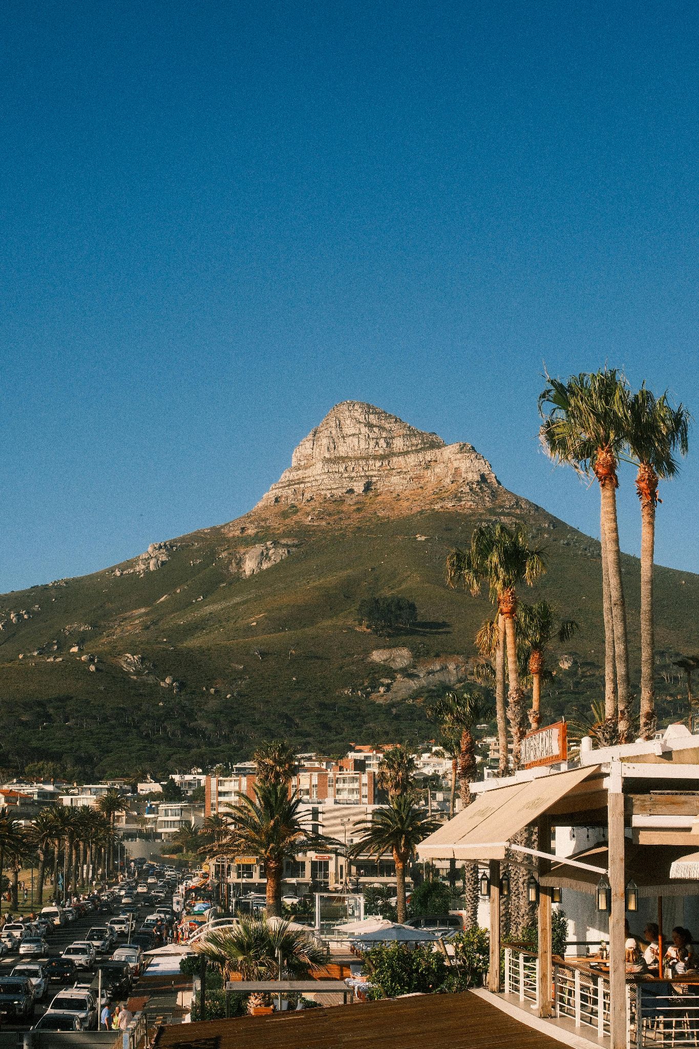 Lions Head on a Sunny Day