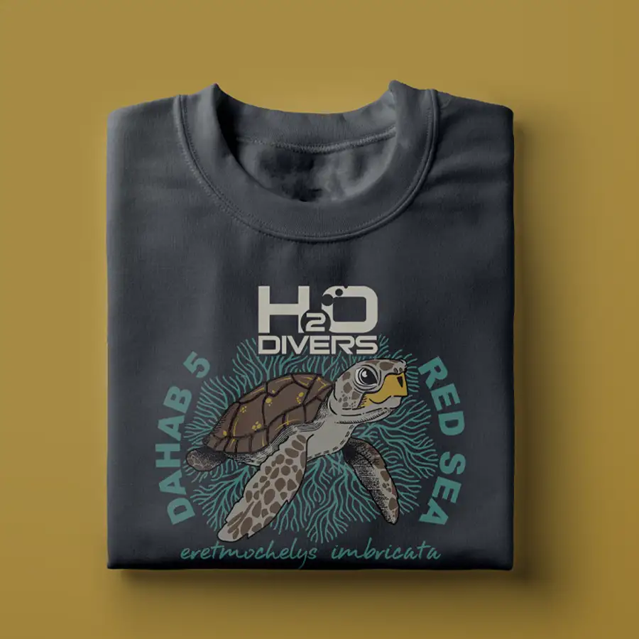 Grey tshirt depicting a turtle from the Dahab 5 campaign