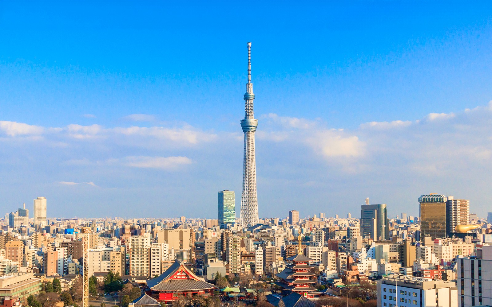 Horizonte de Tokio con la Torre de Tokio y el paisaje urbano circundante.