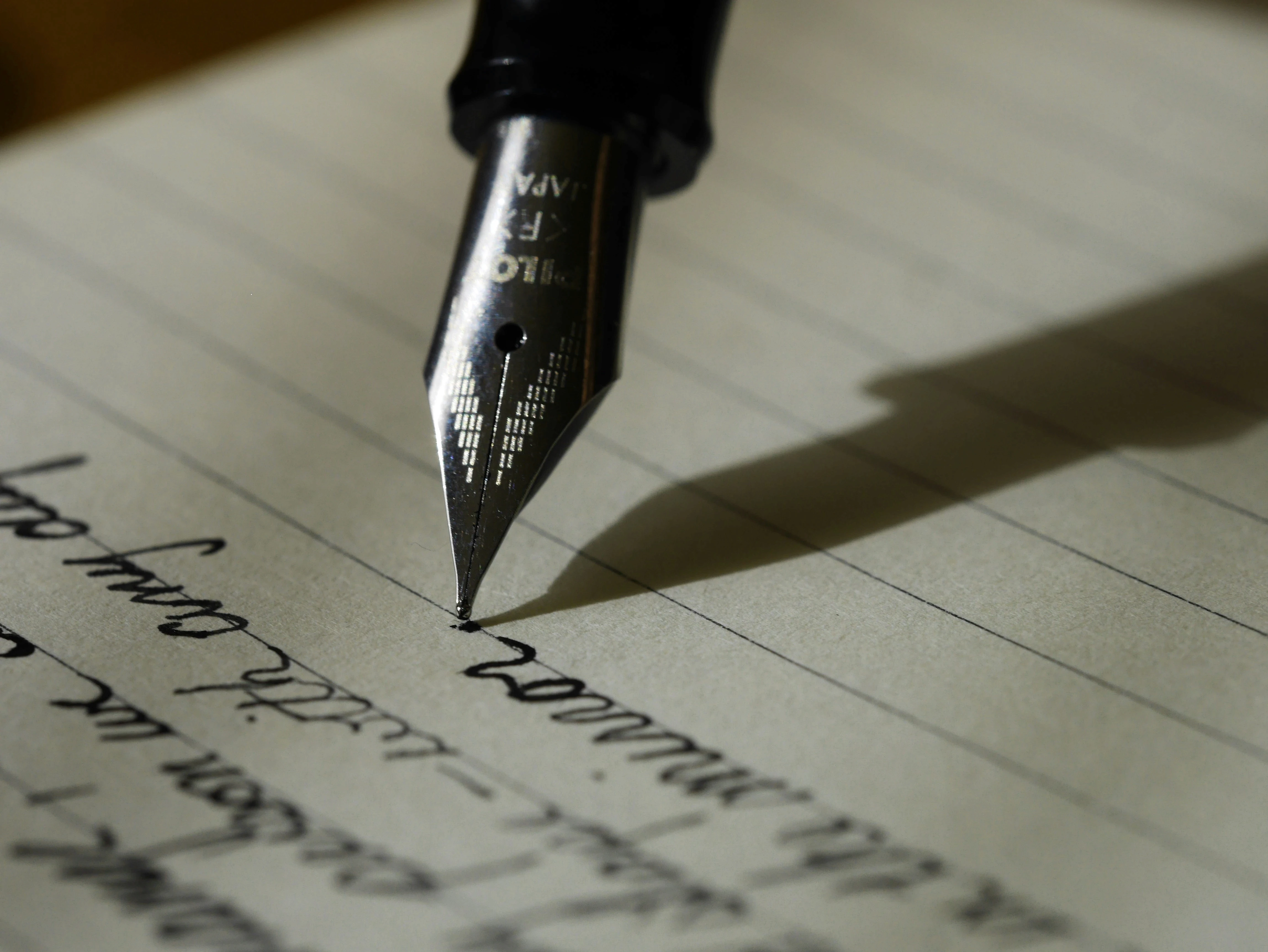 essay