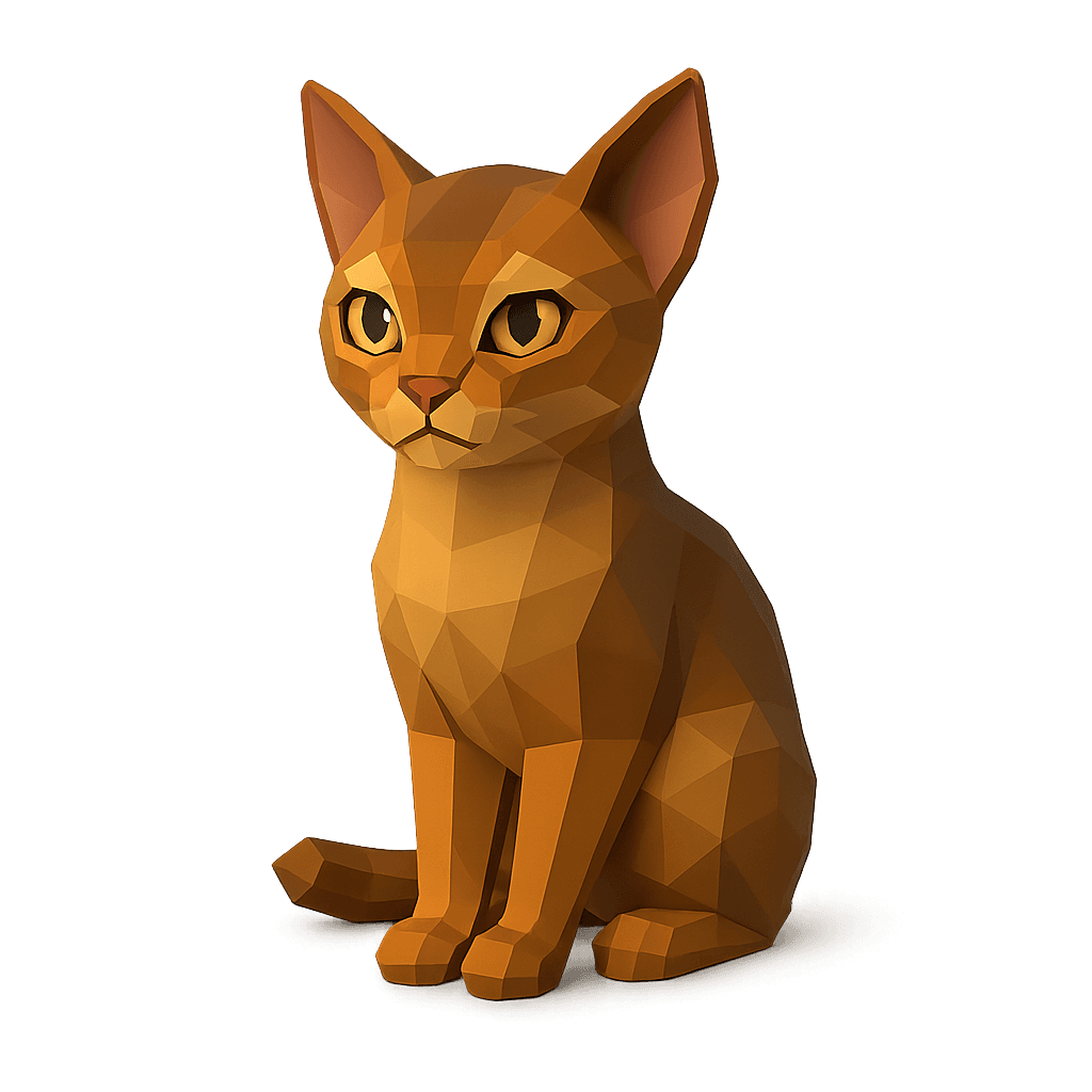 Abyssinian