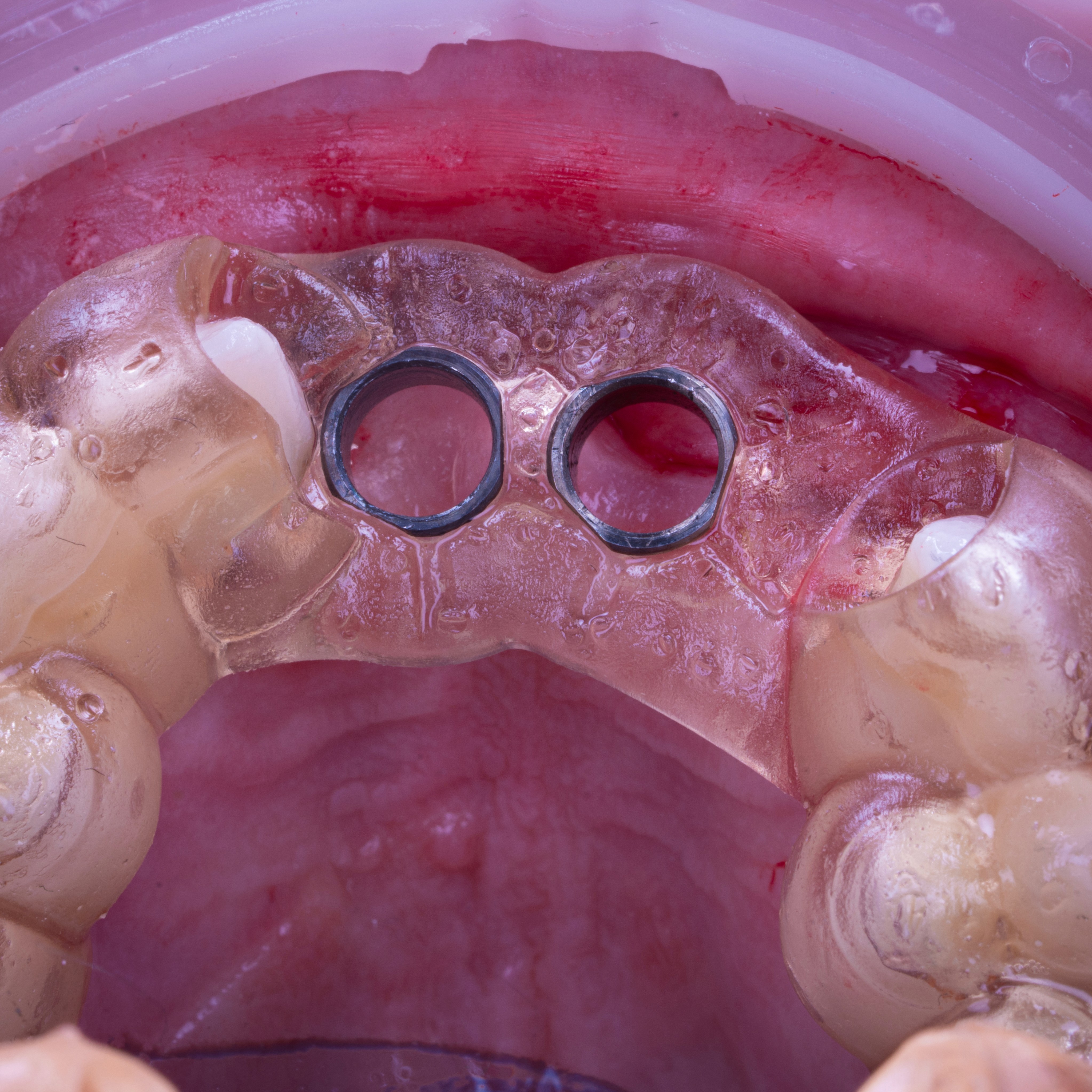 Fashion portrait photography