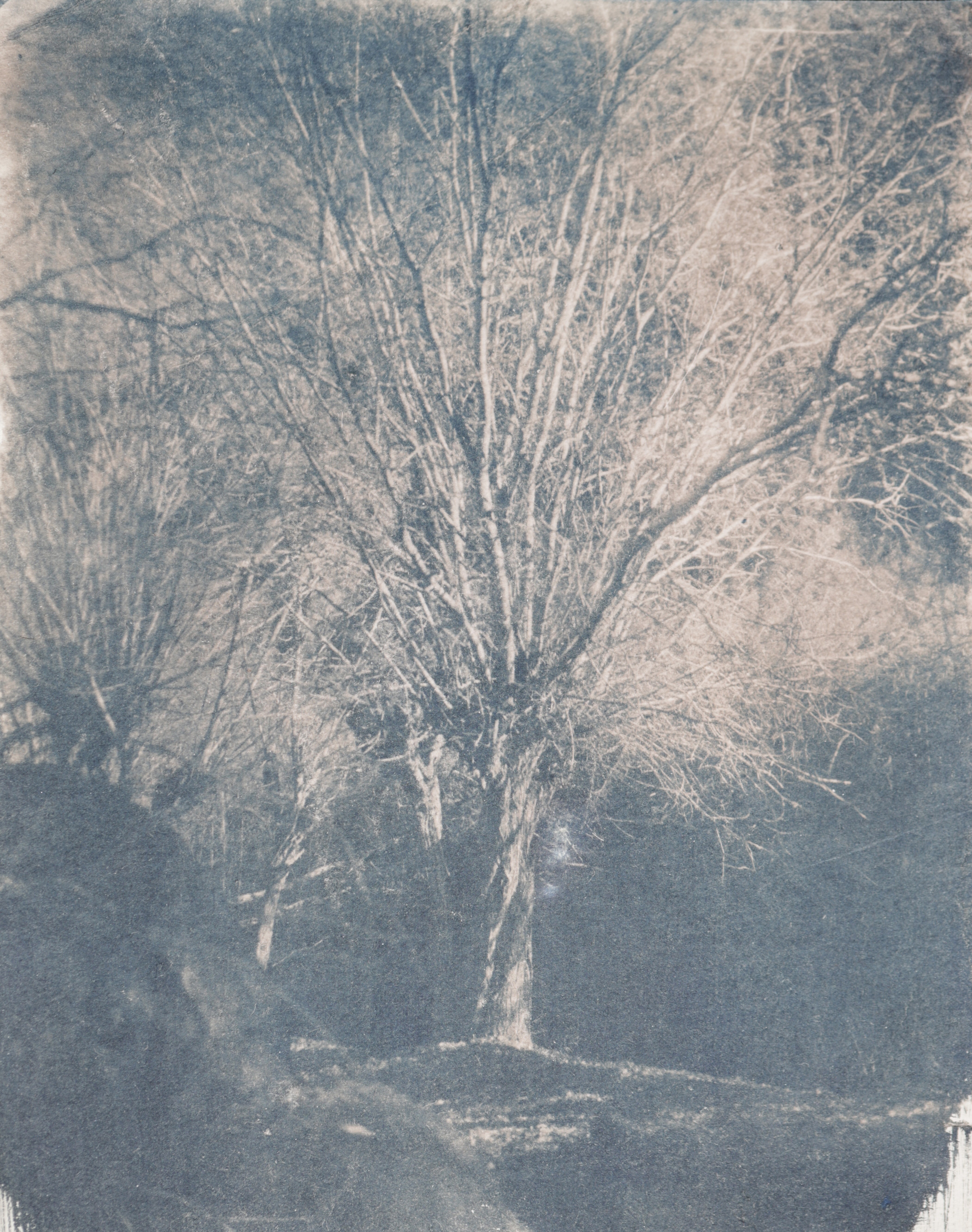 herd of sheep on road painting