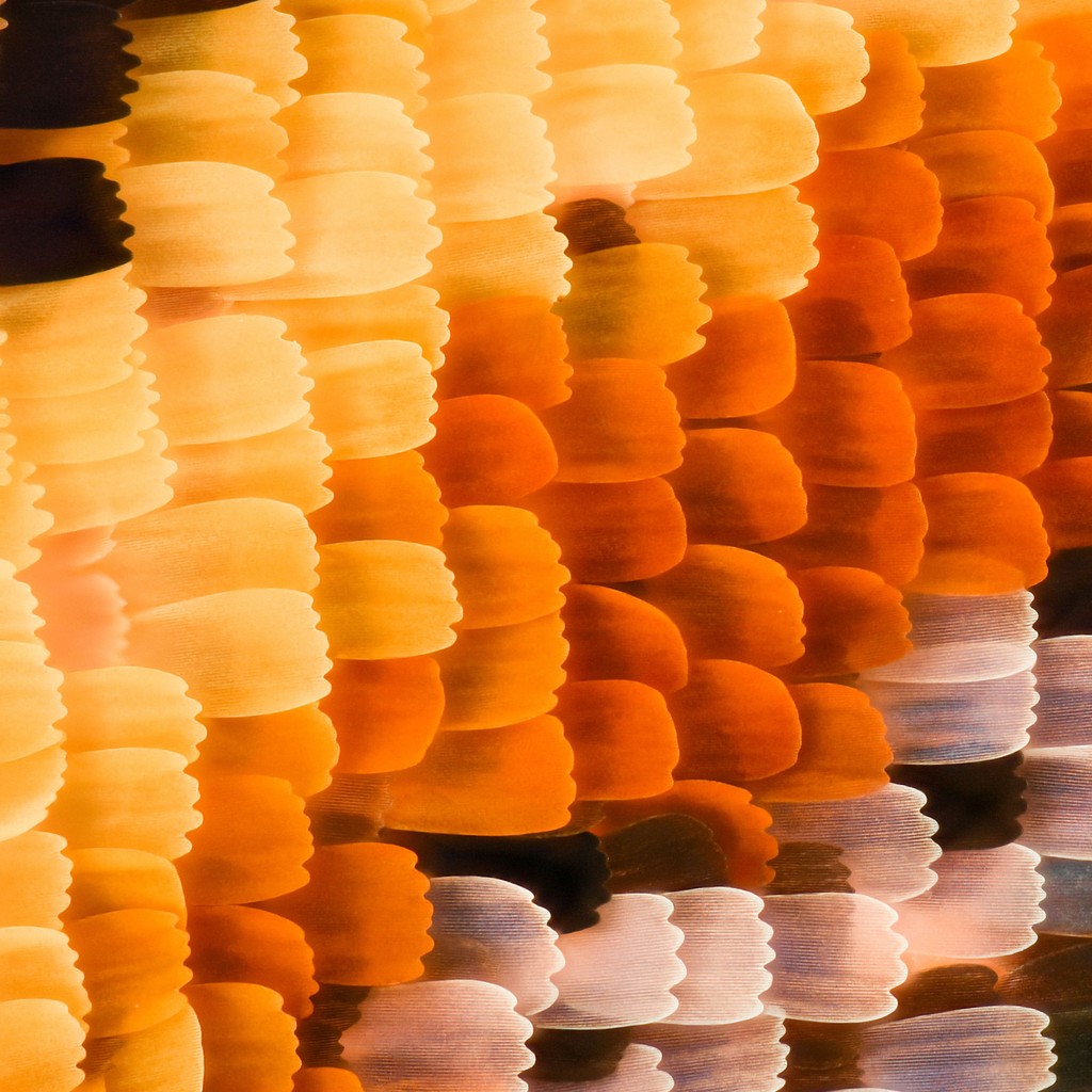 black smartphone near person