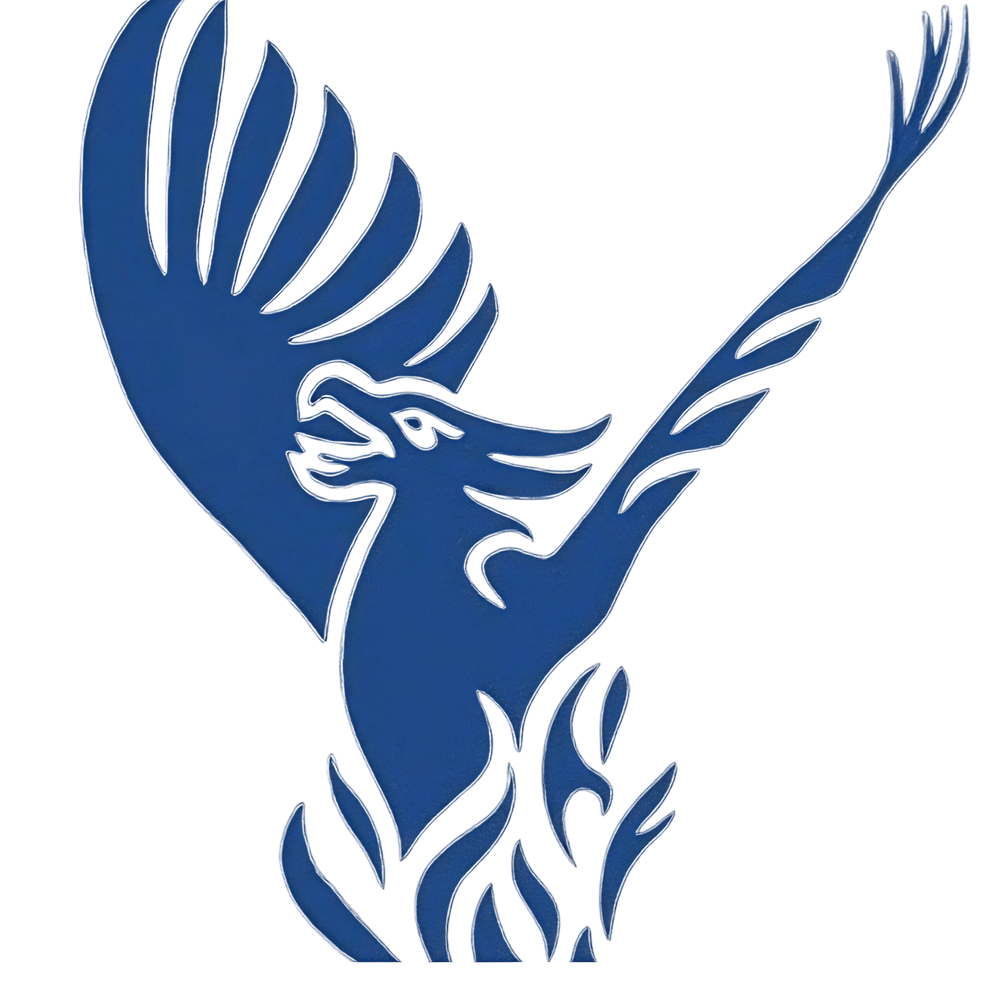 Raleigh Charter High School logo – RISE Research has welcomed students from Raleigh Charter into its competitive summer mentorship and research program for high schoolers.