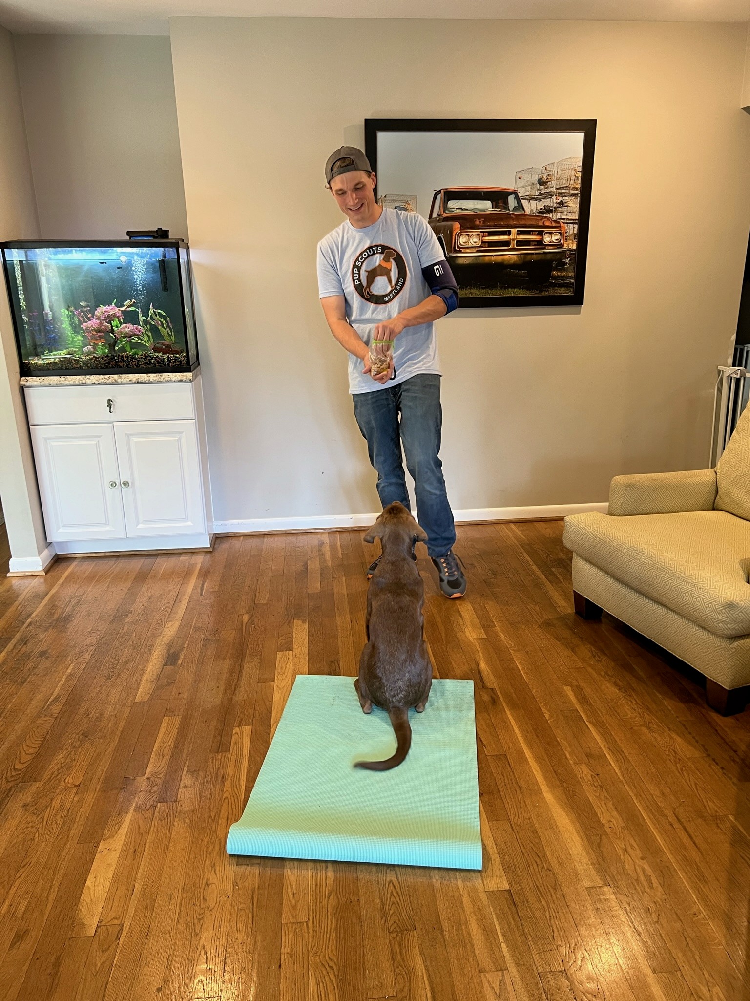 A Pack Leader trains a brown dog on a green mat indoors during board and train Maryland