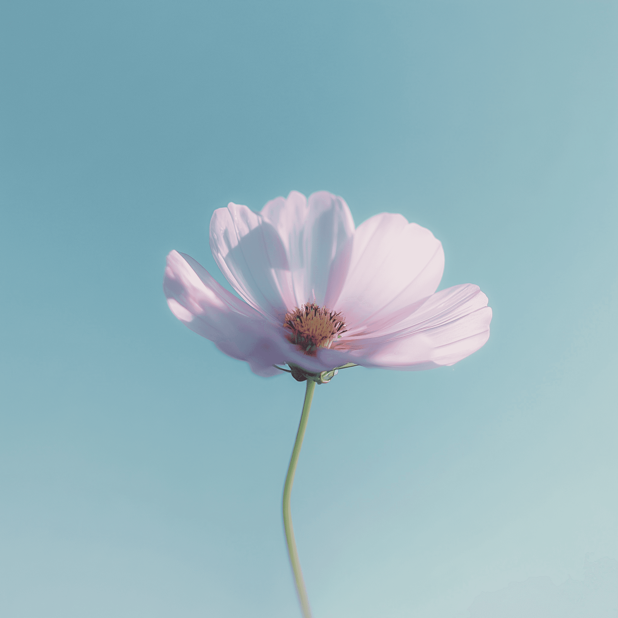 Describe your image here