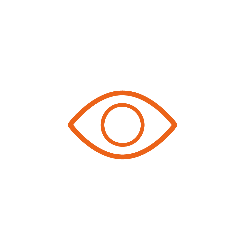 Orange eye icon